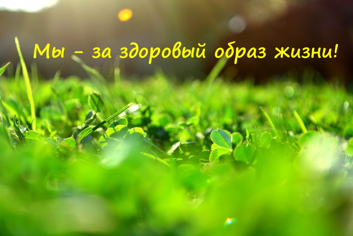Цель программы